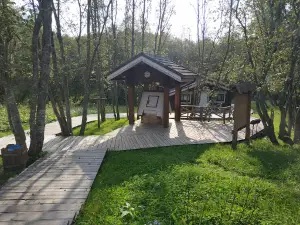 Ul'yanovka