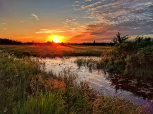 Sandhill State Wildlife Area