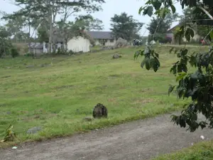 Lapangan Watunggong