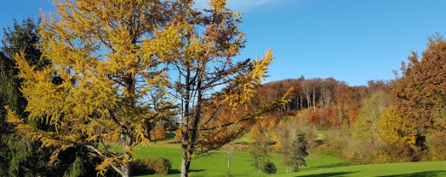 Golfanlage Gut Rieden