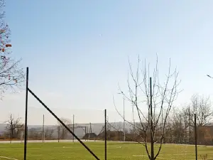 Stadion Roscani