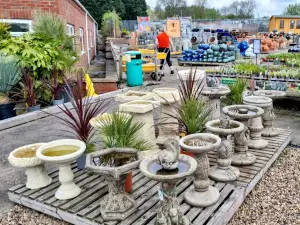 Jacks Patch - Kirton Garden Centre