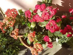 Museo Histórico Municipal "Dr. Rodolfo Doval Fermi"