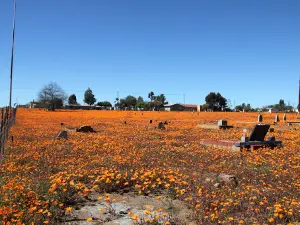 Windpomp Museum Loeriesfontein