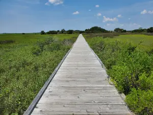 Fort Fisher Recreation Reserve Observation Deck