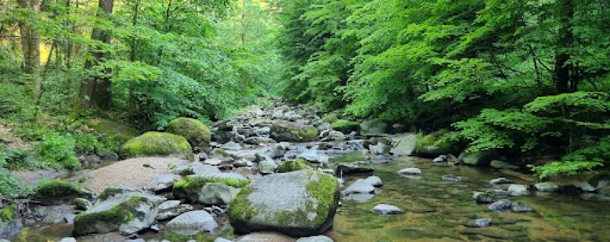 Klamschlucht