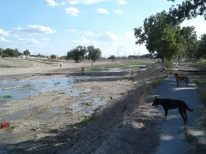 Arroyo Las Vacas "EL FIFI"