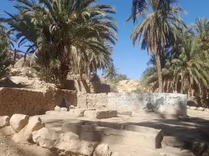 العين- الرياينة Alain