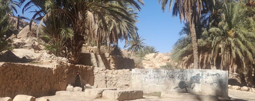 العين- الرياينة Alain