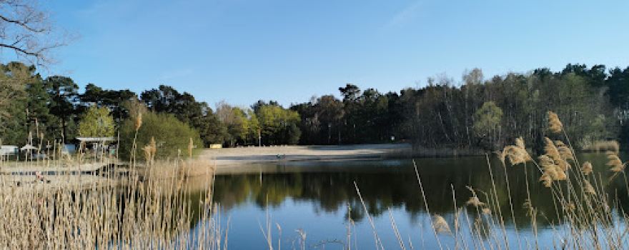 Naturcamping am Kiessee