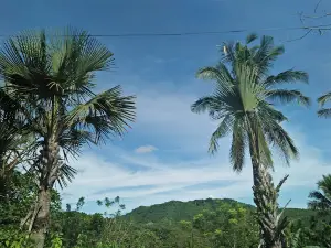 Central Cebu Protected Landscape