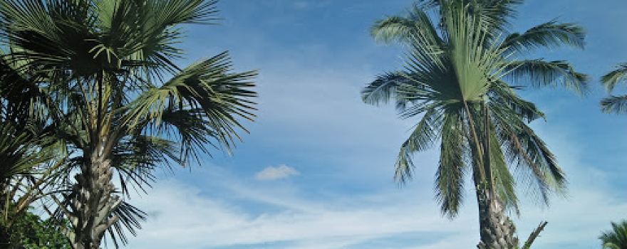 Central Cebu Protected Landscape