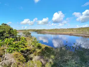 Bundjalung National Park