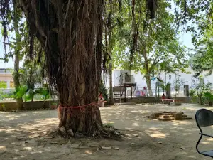 Park