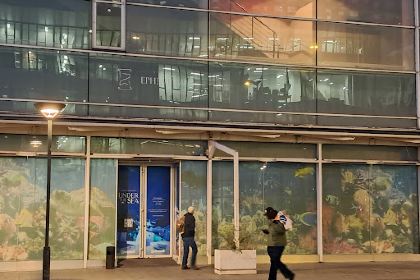 Ephemera Restaurant - Under the sea