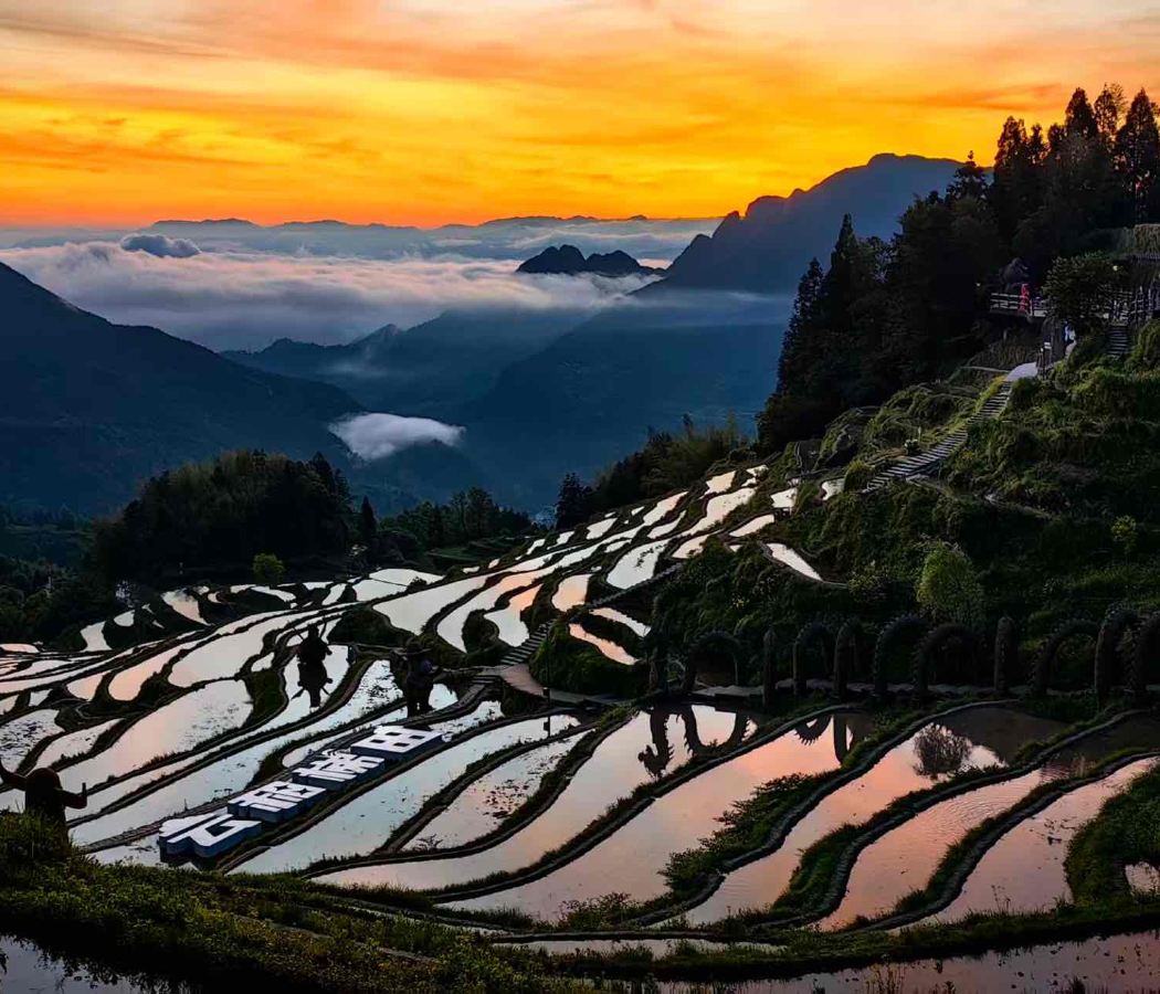 Yunhe Terraced Fields