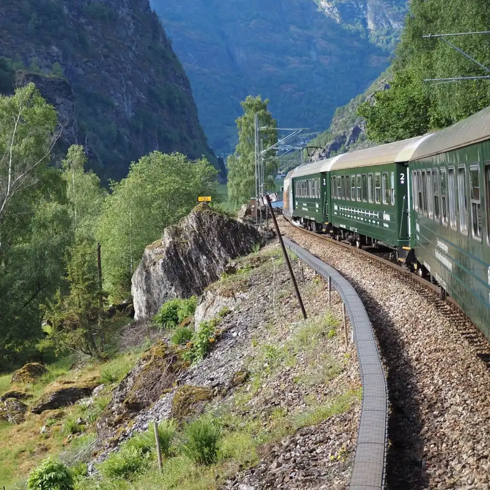 4_Flam Train