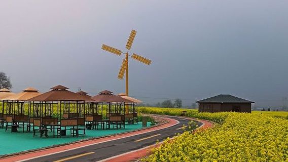 Jinsha River Rapeseed Flower Viewing Area