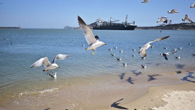 Seagull Beach Amusement Park