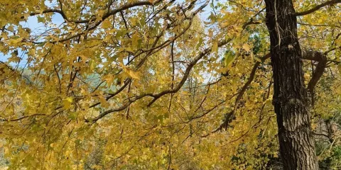 靈溪河森林旅遊度假公園