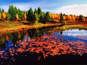 Hot Spring Nature Reserve