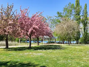 Parc de la Draga
