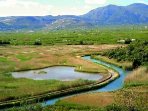 Pego-Oliva Marsh