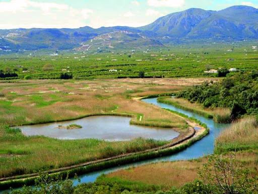 Pego-Oliva Marsh