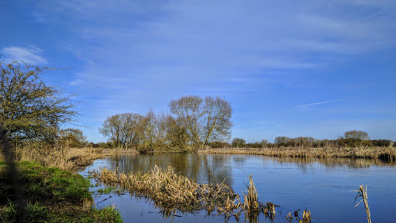 Bampton