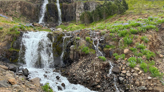 Seyðisfjorður