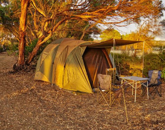 美洲河 自由行套票