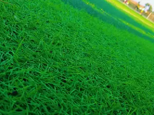 Jinapor Stadium