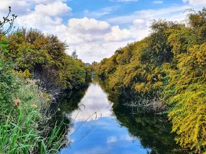 Gediz River