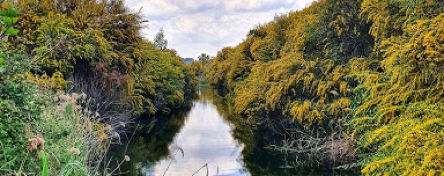Gediz River