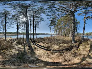 Liivanõmme õpperada