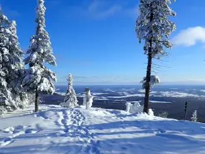 Parc régional Montagne du Diable