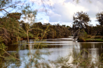 Spalding Park