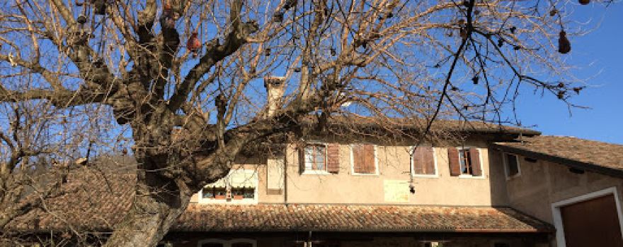Tenuta Conte Romano