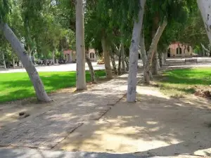 Танки Уола Граунд
