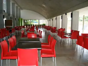 Club Guadalajara Comfenalco Valle delagente