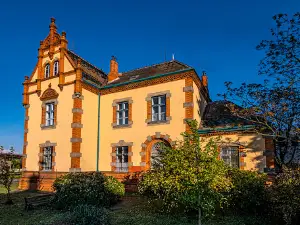 Havlíčkova vila & kavárna