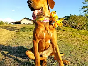 BioGranja El Kardo