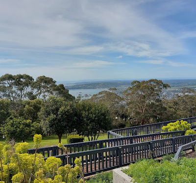 Arthurs Seat Lookout