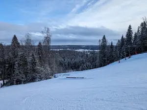Mullsjö Alpin AB
