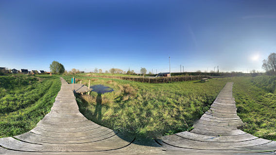 Tielt