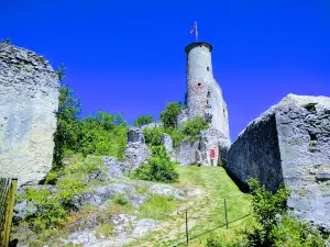 Burgruine Falkenstein