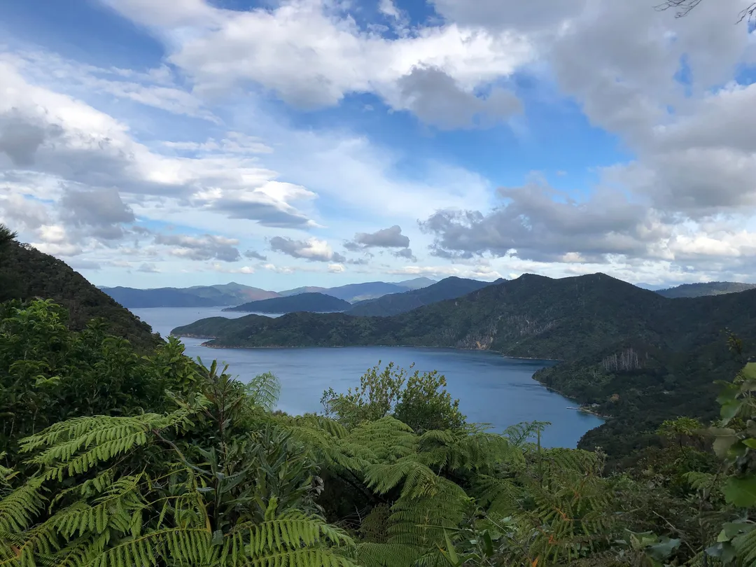 4_Трек Королевы Шарлотты