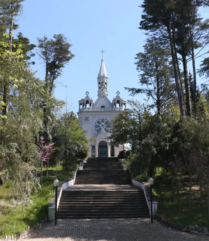 Oliveira de Azemeis