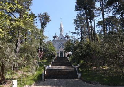 Oliveira de Azeméis