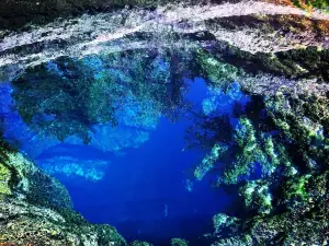 Jacob's Well Natural Area
